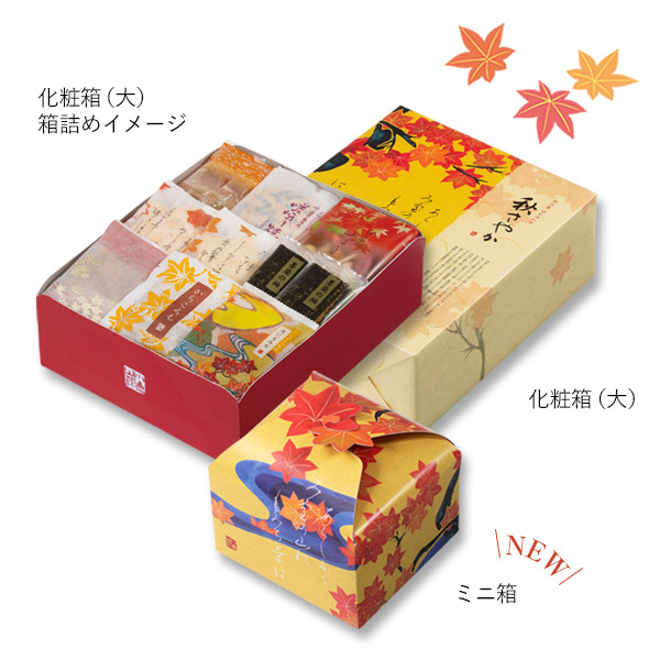 パッケージ画像