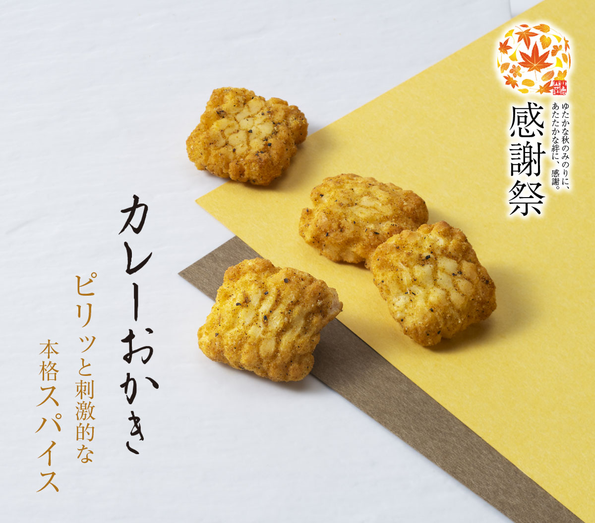 ピリッと辛い 大人のスパイシーカレー カレーおかき