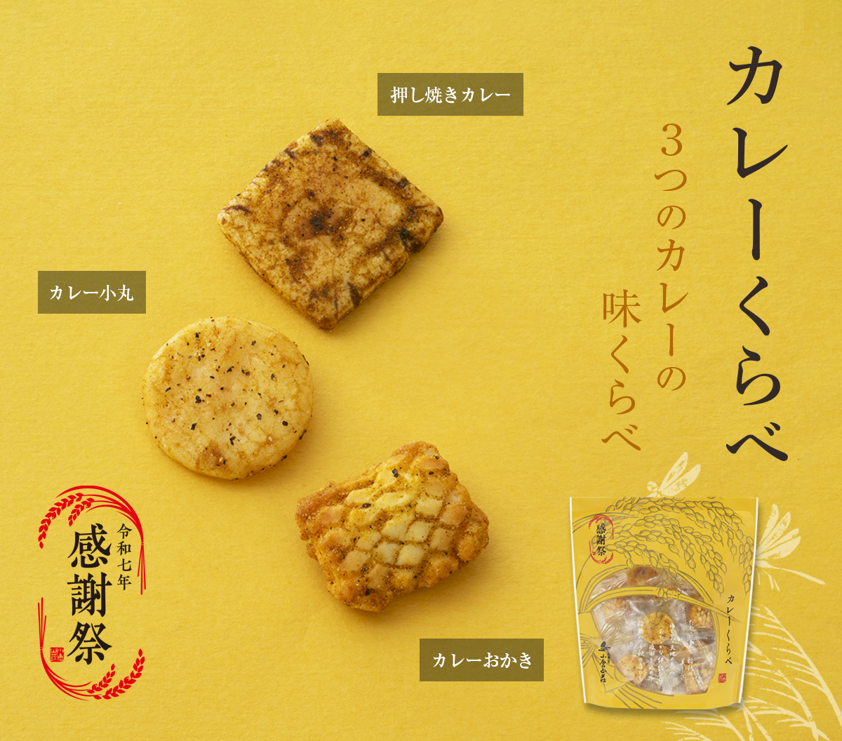 カレーくらべ 3つのカレーの味くらべ スパイシー・甘醤油ベース・ぴりりと辛口