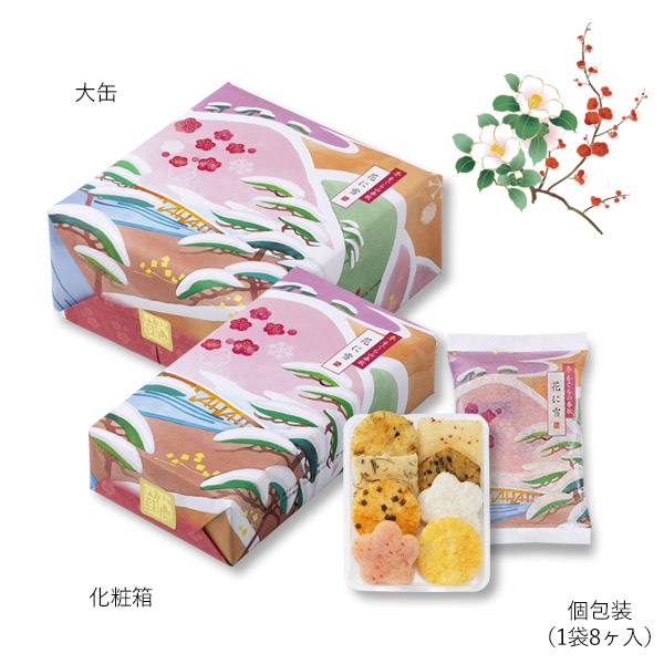 パッケージ画像