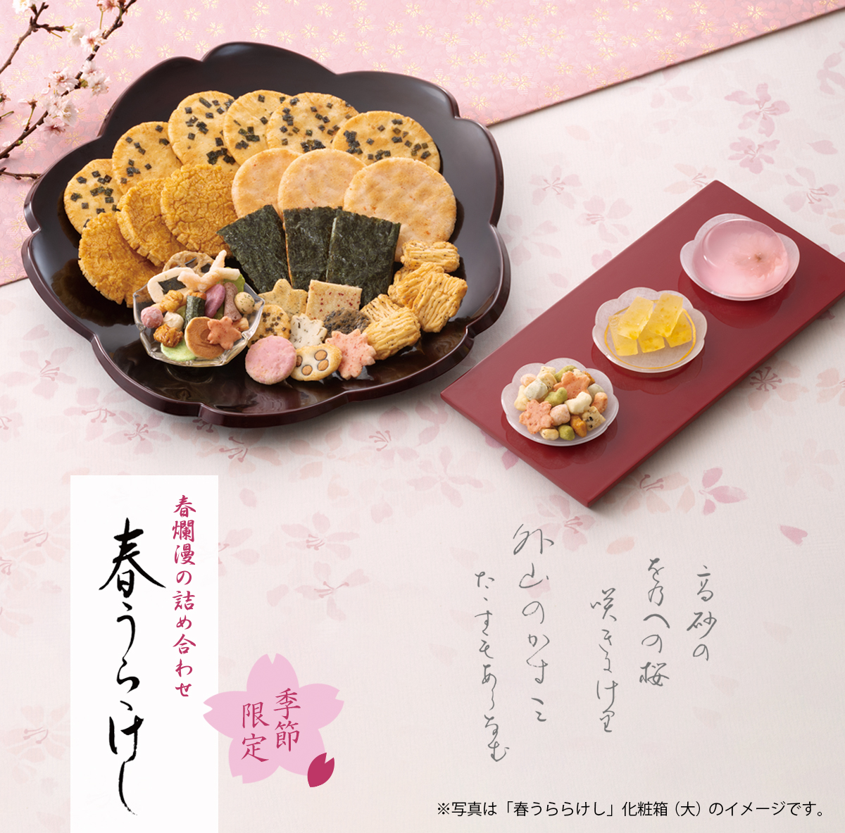 のどけき春の詰め合わせ 春うららけし