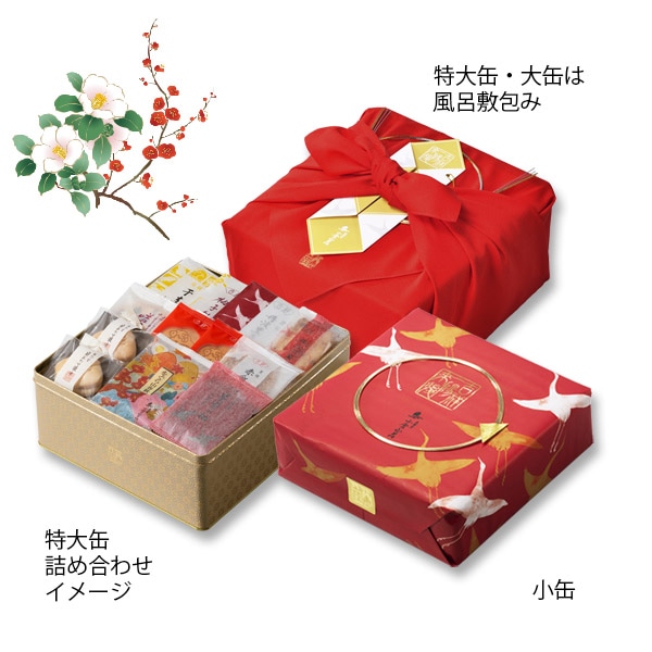 パッケージ画像