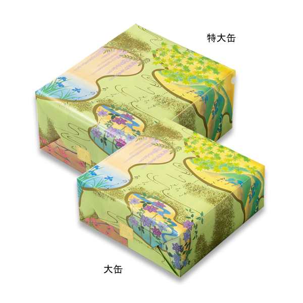 パッケージ画像