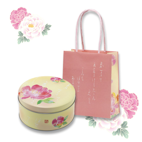 パッケージ画像