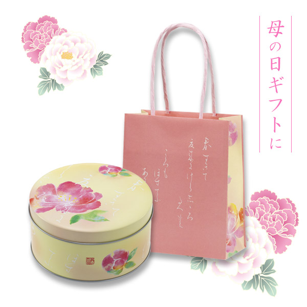 パッケージ画像