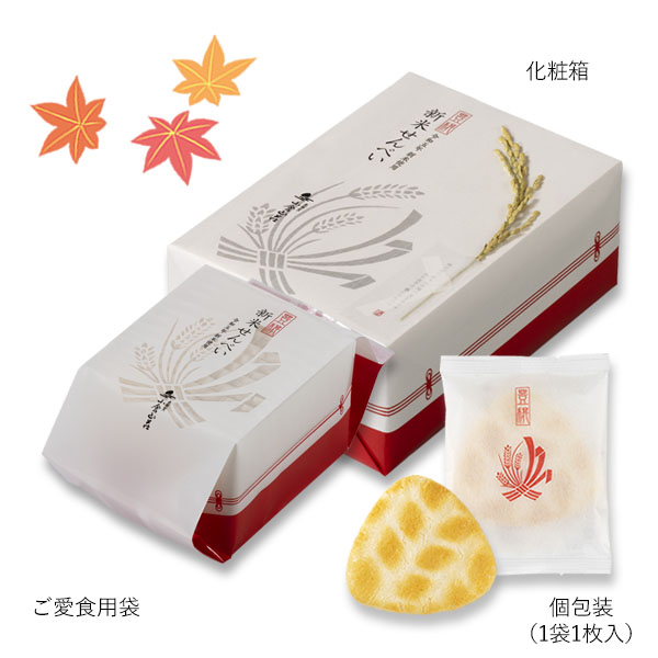 パッケージ画像