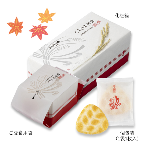 パッケージ画像