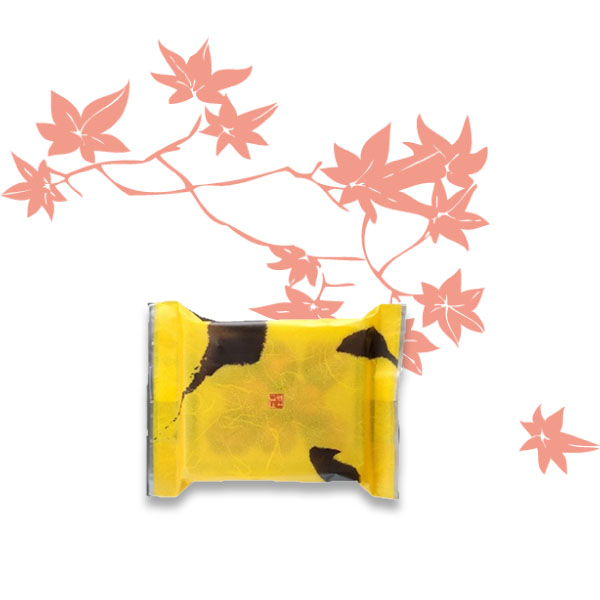 パッケージ画像