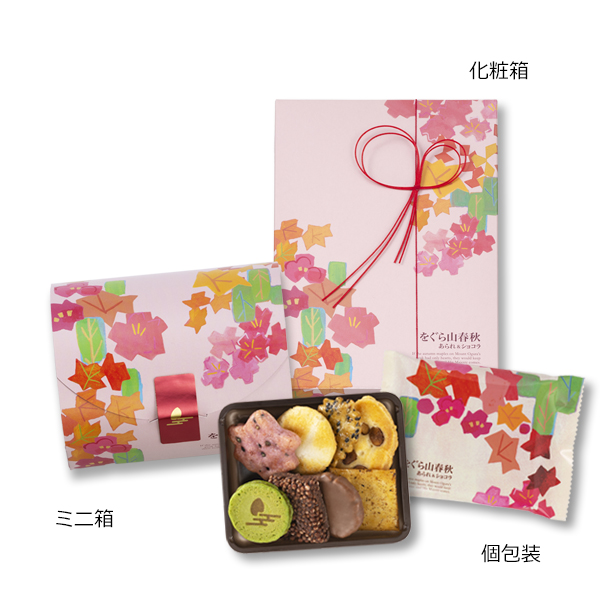 パッケージ画像