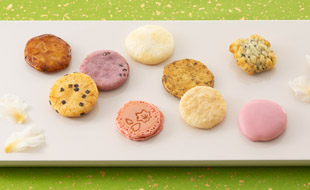 あられ詰め合わせ　いろどりの菓