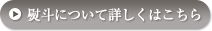 熨斗について詳しくはこちら