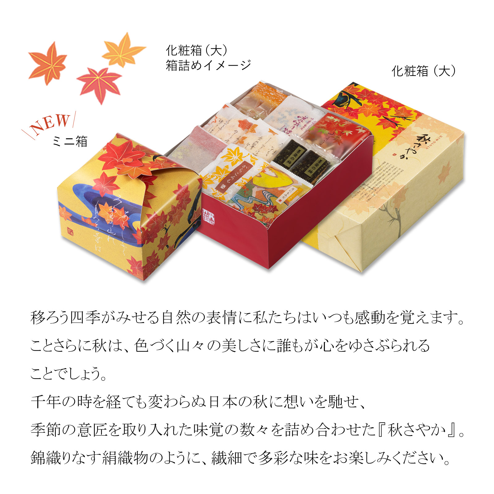 【9月1日販売予定】秋さやか ミニ箱
