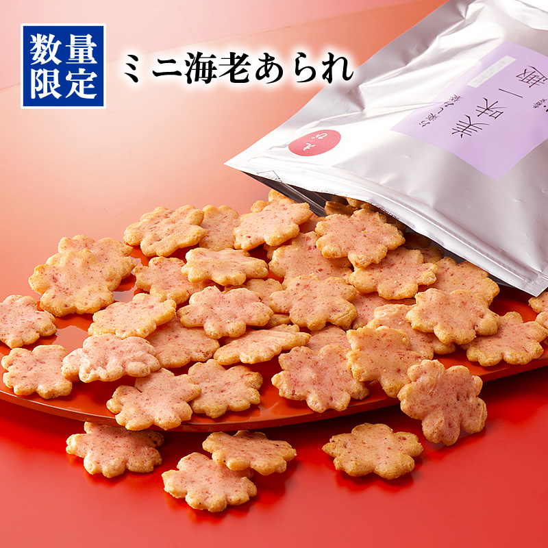 88％以上節約 ひとくちミニ塩あられ 美味一趣 うま塩 係数5 100g −熨斗 包装 袋不可−