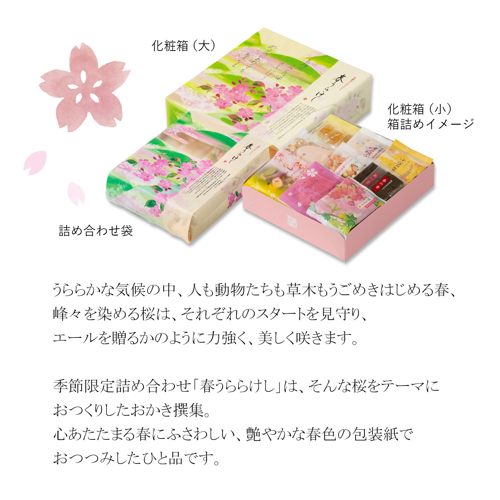 【2月20日販売予定】春爛漫の詰め合わせ 春うららけし 化粧箱(小)