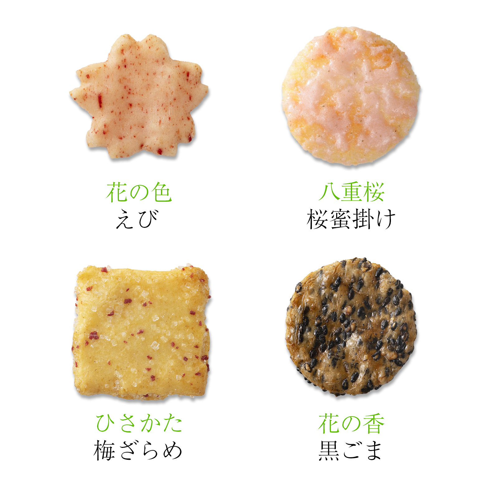 【2月20日販売予定】春をぐら山春秋 桜もみぢ 化粧箱(小)