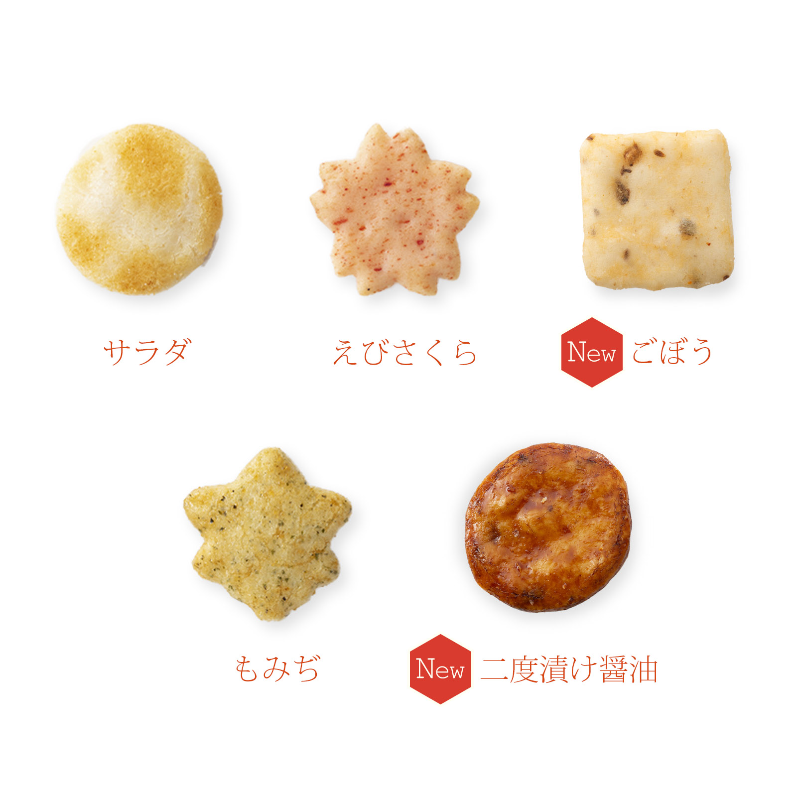 カルタ百人一首 化粧箱(小)●