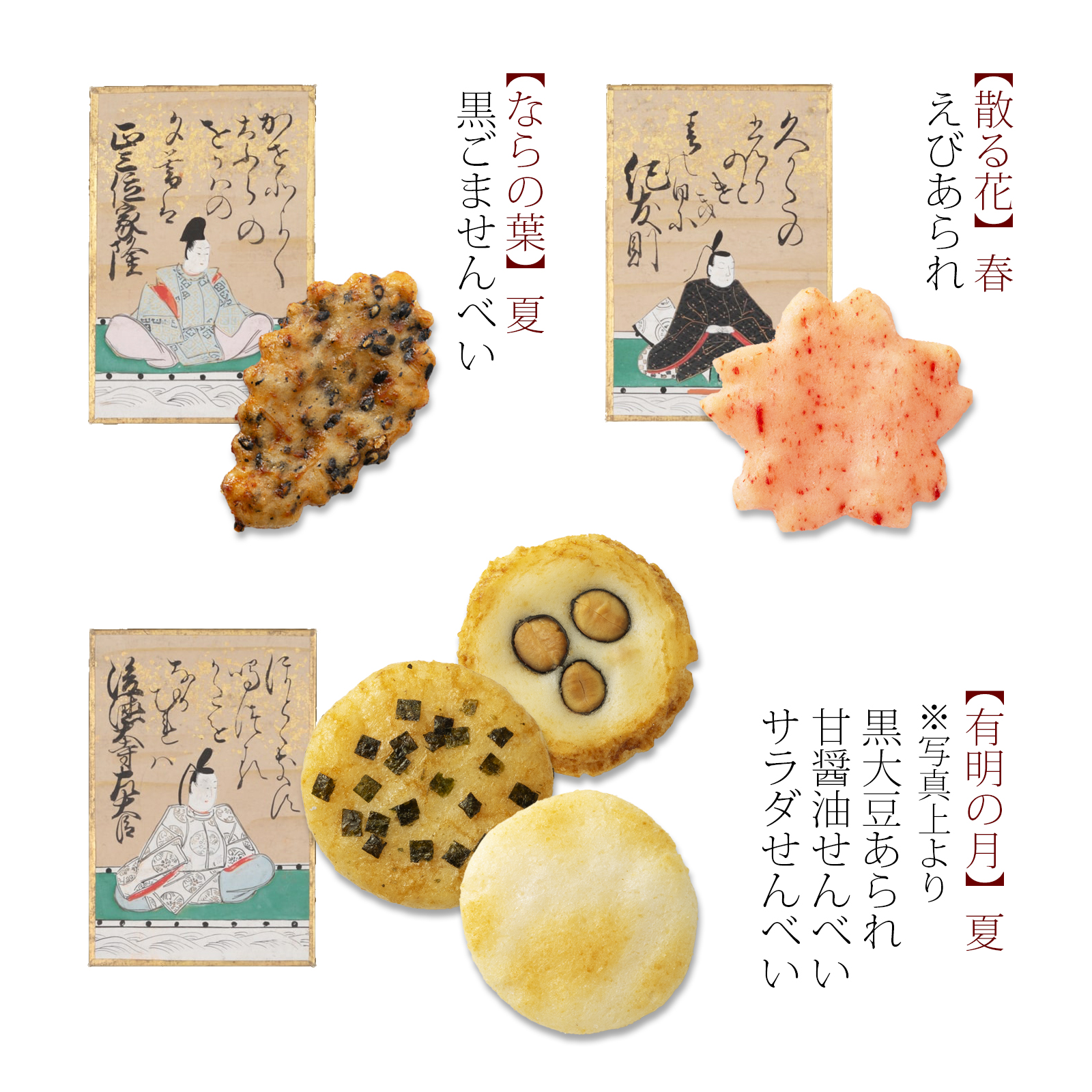 販売日未定【鶴亀掛け紙付】をぐら山春秋 化粧箱