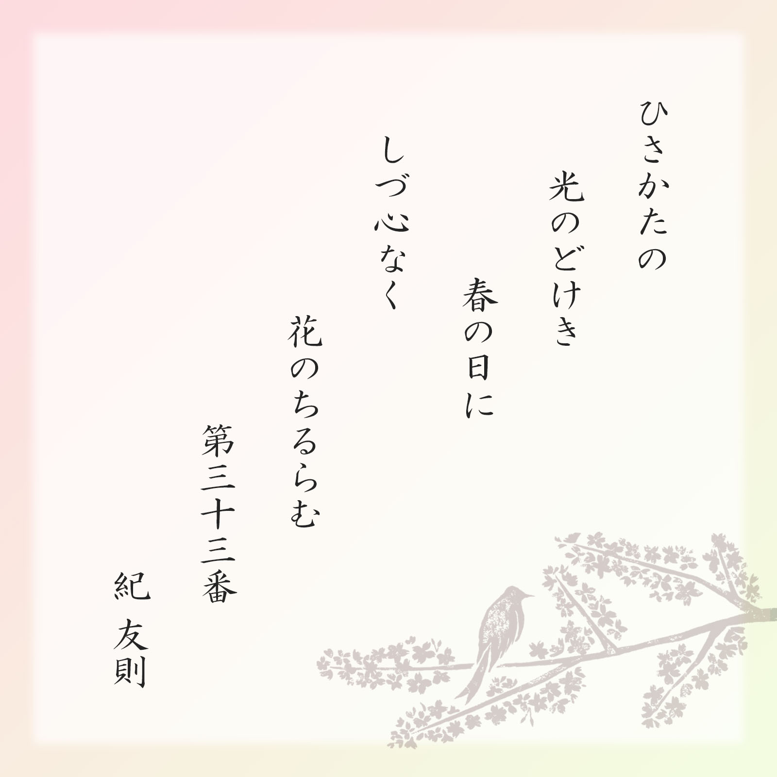 【2月20日販売予定】春をぐら山春秋 桜もみぢ 化粧箱(小)