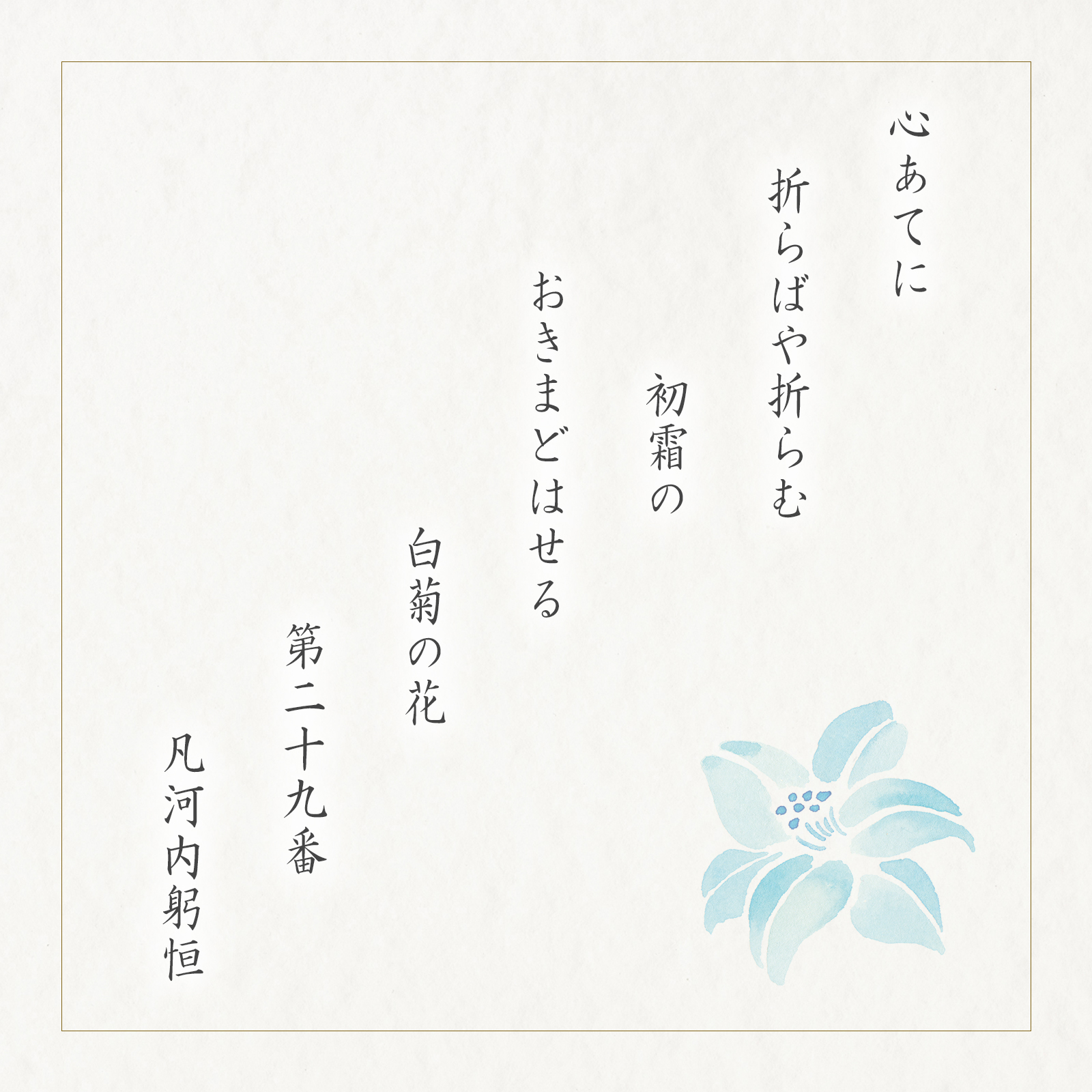 【仏事用】白菊の花 化粧箱 (中)●