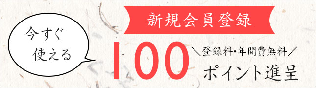 新規会員登録で今すぐ使える100ポイント進呈