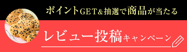 ポイントGET＆抽選で商品が当たるレビュー投稿キャンペーン