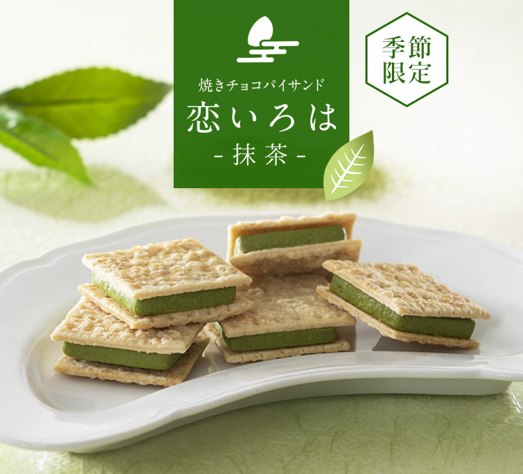 恋いろは(抹茶)