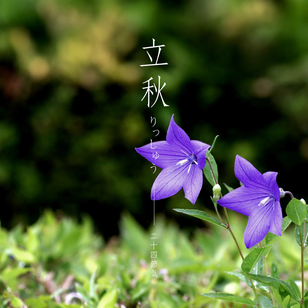 Instagram:立秋