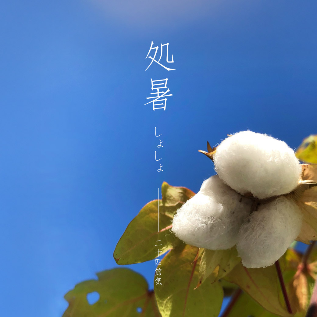 Instagram：処暑