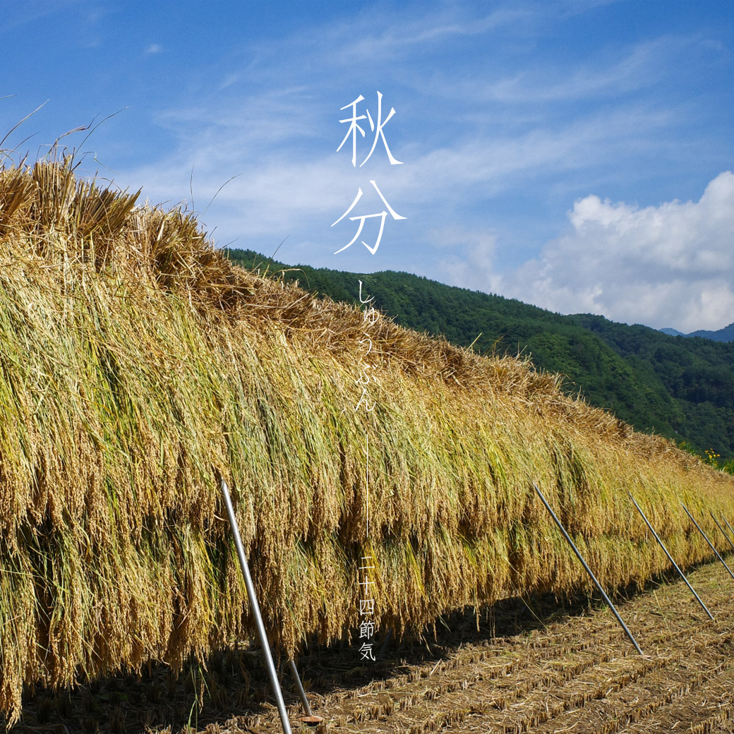 Instagram：秋分