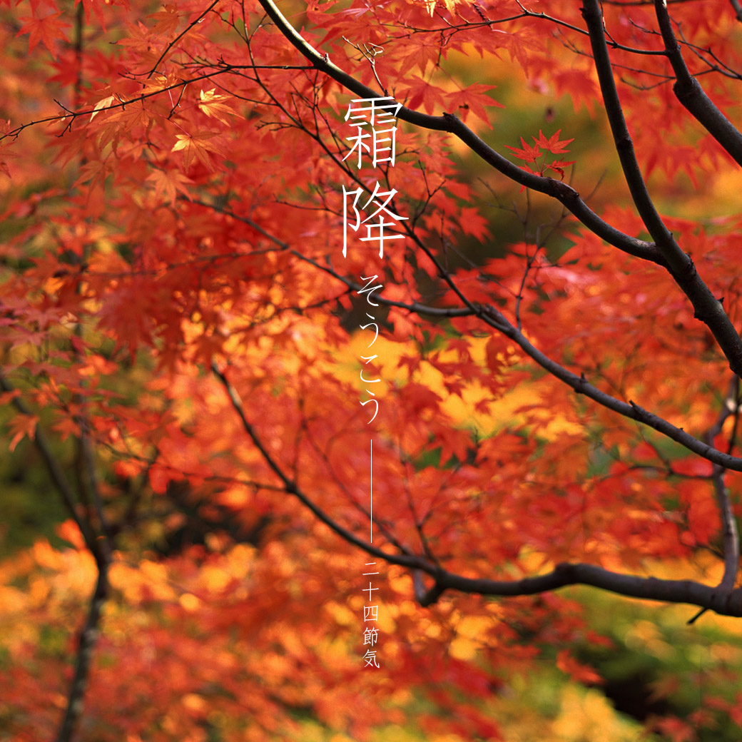 Instagram：霜降
