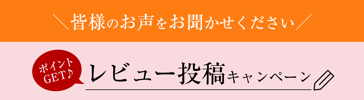 レビューでポイントGET