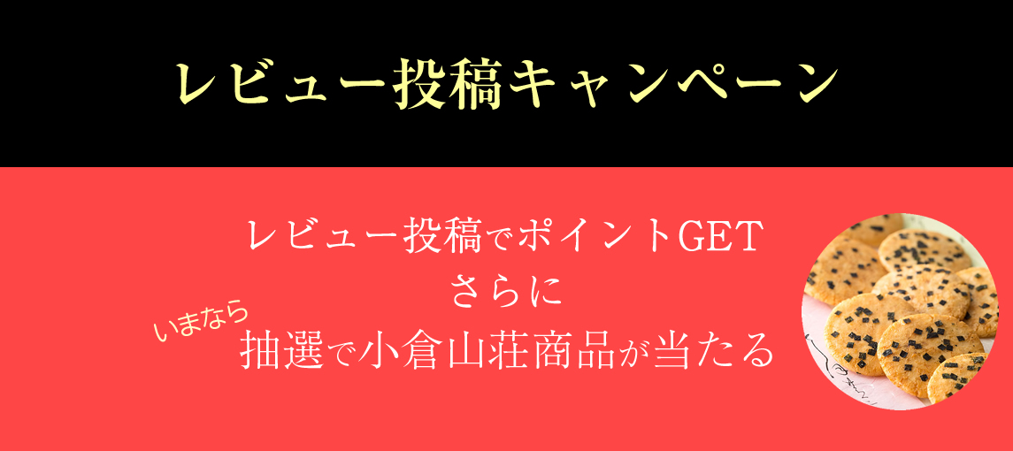 レビューでポイントGET＆抽選でプレゼント進呈キャンペーン