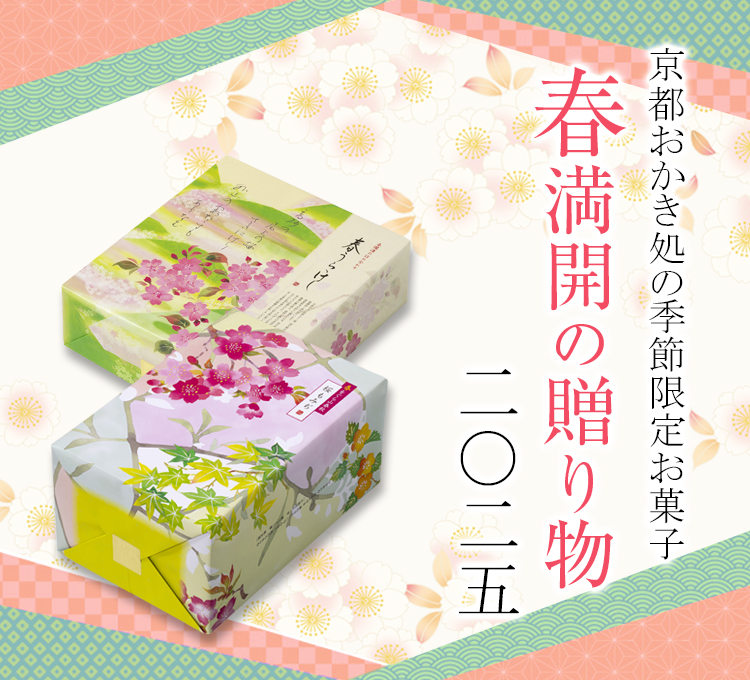 Amazon.co.jp: 平安京 関連書籍 5冊 まとめ売り Y : おもちゃ